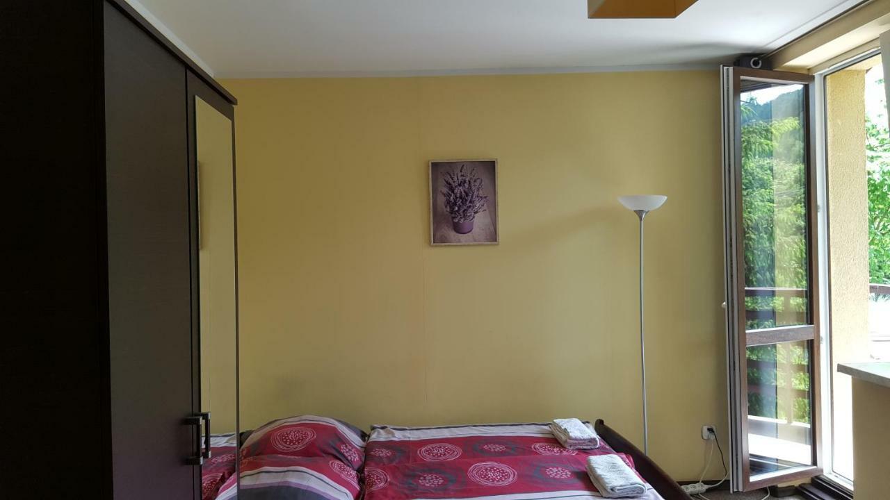 Niezapominajka Bed & Breakfast ชเจอร์ค ภายนอก รูปภาพ